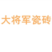 大将军瓷砖陶瓷大板750x1500地砖客厅背景墙防滑地板砖岩板
