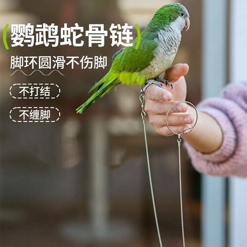 鹦鹉牵引绳超轻不伤脚鸟用外出放飞绳和尚八哥脚环脚链遛鸟绳神器