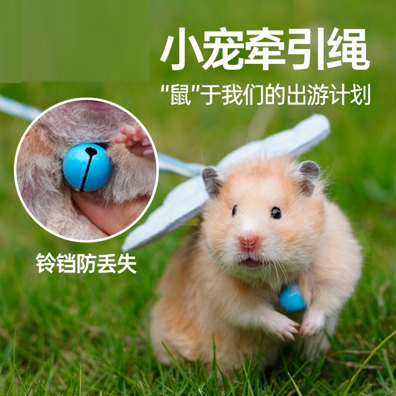 仓鼠牵引绳背心式溜鼠绳金丝熊豚鼠兔子绳荷兰猪宠物外出绳子用品,宠物/宠物食品及用品,玩具/造景装饰,淘宝优惠券,粉丝福利购,淘宝优惠卷