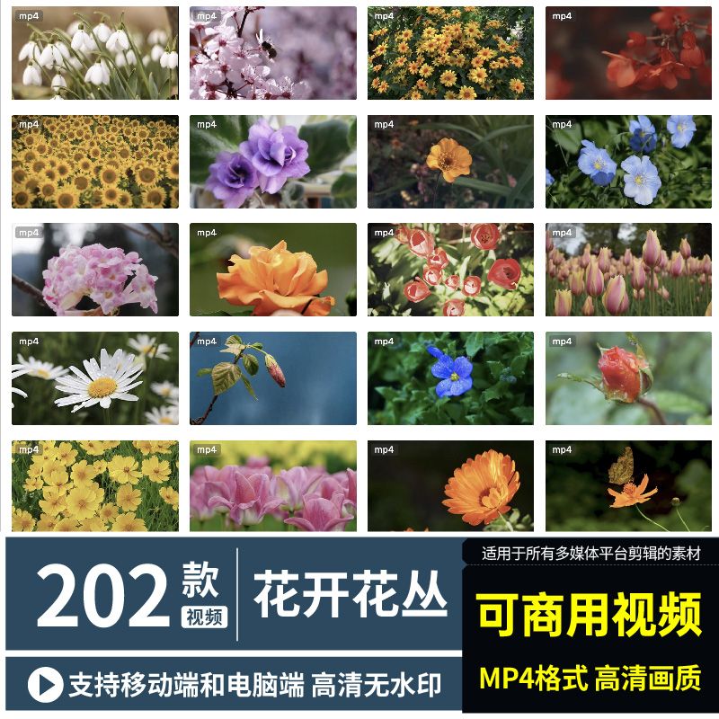 花开可商用视频植物绽放鲜花花束背景素材无版权视频剪辑短视频
