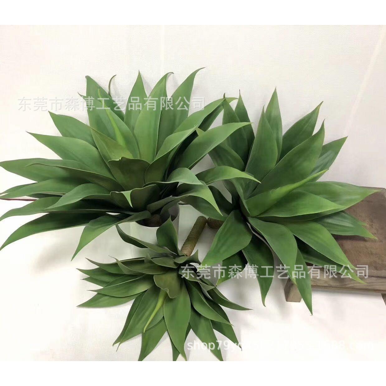 仿真热带绿植盆栽剑麻剑兰植物沙漠多肉芦荟虎皮兰落地造景装饰