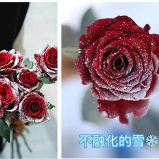 圣诞树喷雪圣诞节商场酒店铺玻璃门橱窗喷画装饰喷图案模板不融