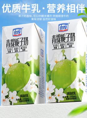 【新鲜效期】忠厚青提栀子牛奶200ml*12瓶整箱儿童牛奶早餐奶