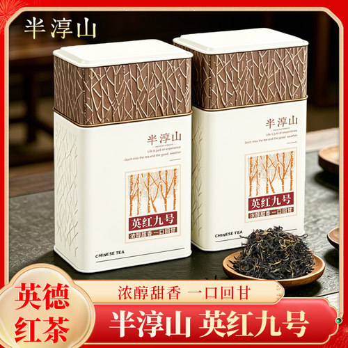 半淳山英红九号养胃高香醇厚茶叶