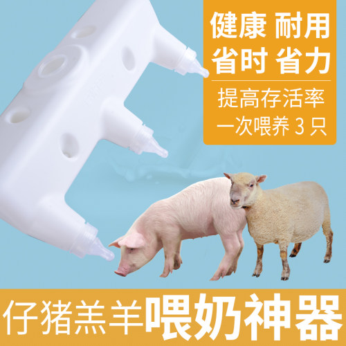 仔猪喂奶器喂猪喂羊哺乳神器养猪设备小猪乳猪兽用猪用羔羊用奶壶