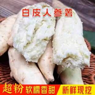 白皮牛奶人参薯新鲜现挖白皮白心番薯板栗薯白薯地瓜超粉人参红薯