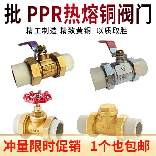 PPR铜阀门 ppr双活接球阀水管管件配件热熔 20PPR铜止回阀铜闸阀