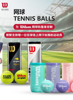 Wilson威尔胜网球法网美网比赛训练球练习球比赛专用球马卡龙彩色