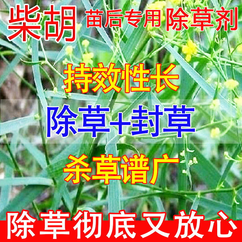 柴胡除草剂强力除草烂根剂一扫光三年不长草神器柴胡苗后除草济