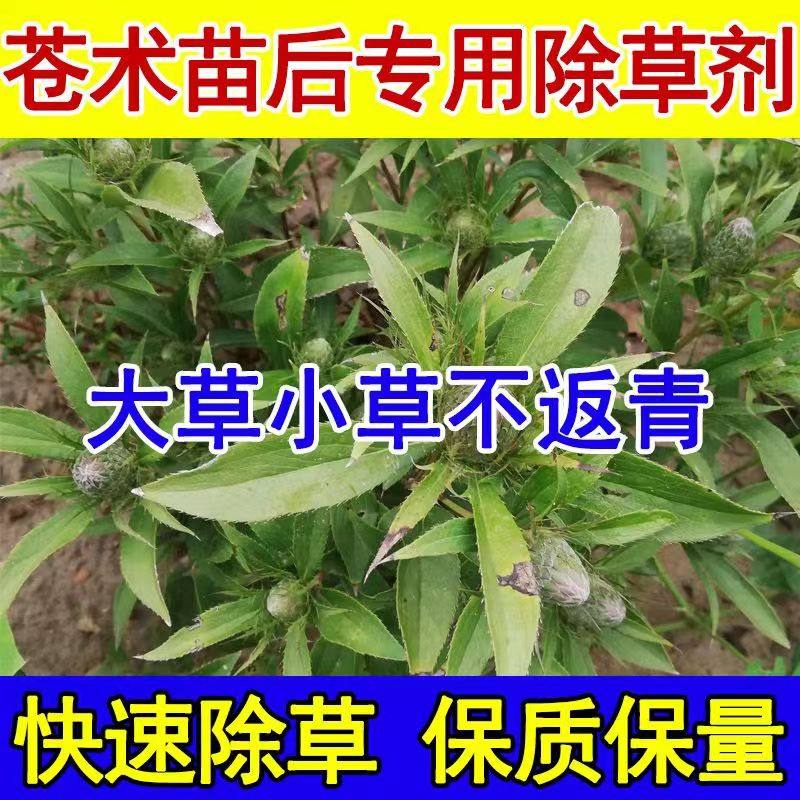 苍术专用除草剂安全不伤苗药材除草烂根剂一扫光苍术苗后除草剂