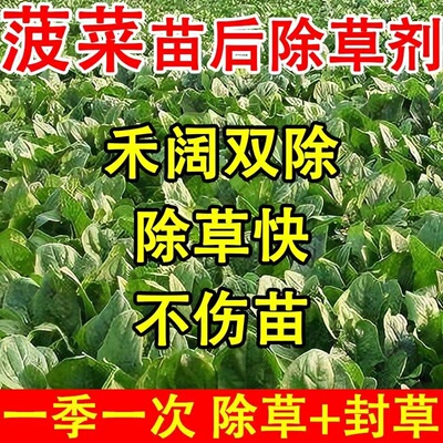 菠菜专用除草剂菠菜苗后除草剂拉拉秧除草杂草一扫光菜地除草专用
