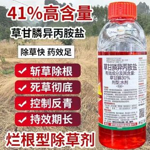 草甘膦除草剂斩草除根助剂杂草一扫光果园草铵膦药正品高浓度除草