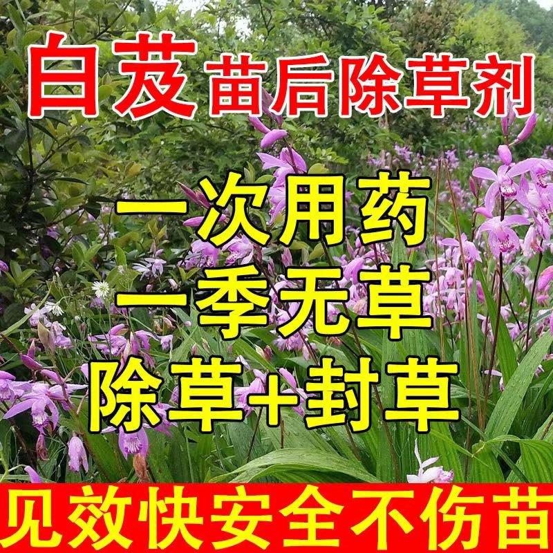 白芨除草剂拉拉秧除草药材除草烂根剂白芨专用除草剂三年不长草