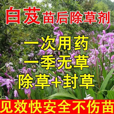 白芨除草剂拉拉秧除草药材除草烂根剂白芨专用除草剂三年不长草