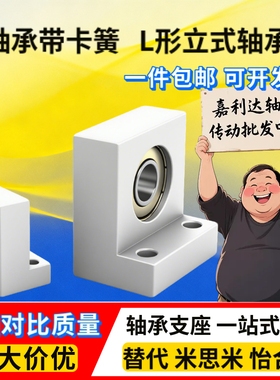 LTKH BGLKB BGF01L型带座轴承 单轴承带卡簧 立式轴承座 623 6904