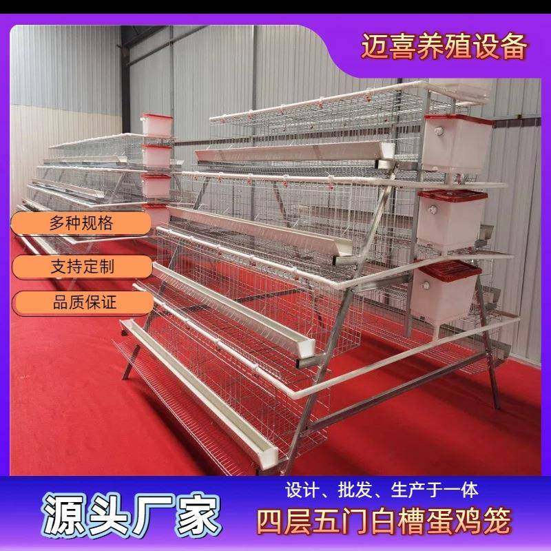 四层四门白槽阶梯蛋鸡笼镀锌工艺耐用耐腐蚀空间错位粪便易,畜牧/养殖物资,特种养殖设备,淘宝优惠券,粉丝福利购,淘宝优惠卷