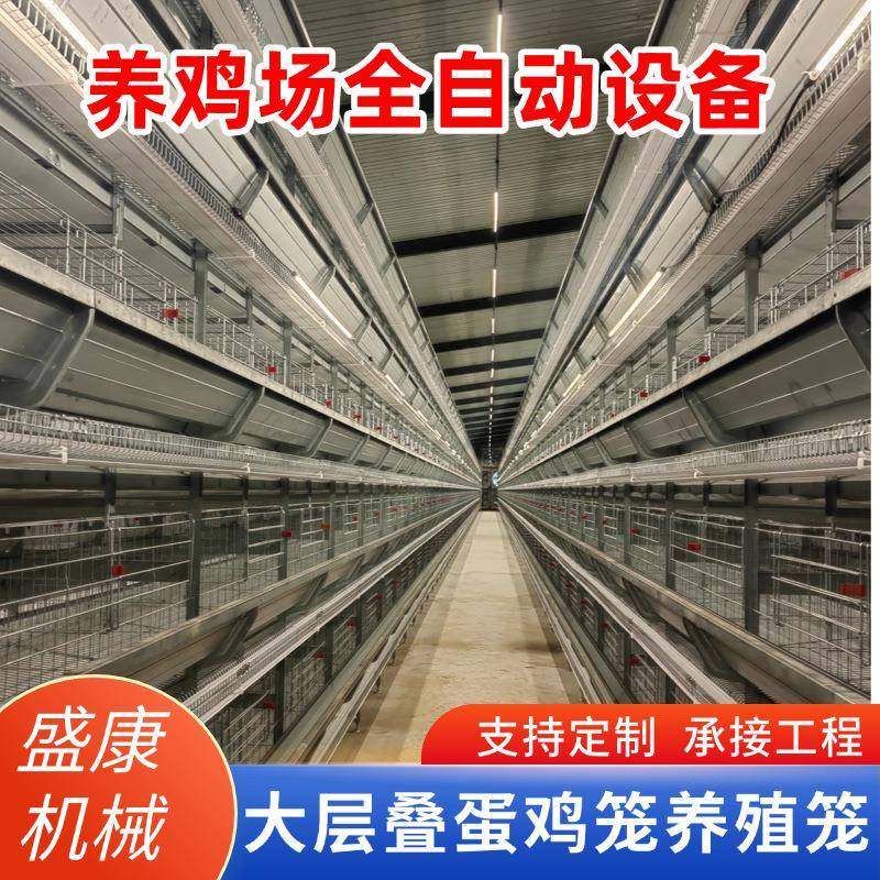 大层叠立式多层蛋鸡笼养殖场机械农场全自动集蛋清粪养鸡蛋鸡笼,畜牧/养殖物资,特种养殖设备,淘宝优惠券,粉丝福利购,淘宝优惠卷