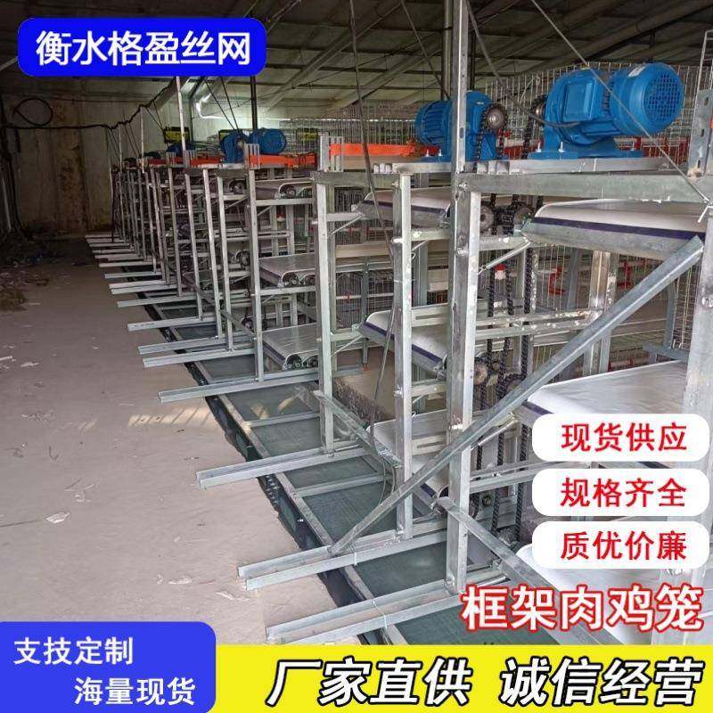 框架肉鸡笼养殖设备框架镀锌鸡笼带自动清粪喂料厂家供应,畜牧/养殖物资,特种养殖设备,淘宝优惠券,粉丝福利购,淘宝优惠卷