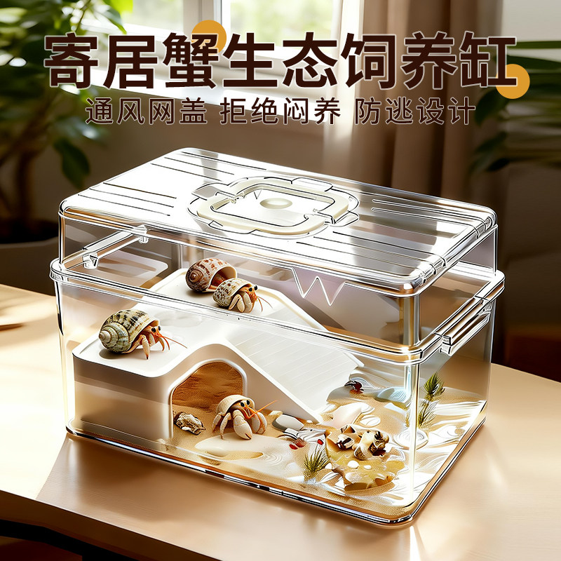 寄居蟹饲养箱桌面爬宠盒相守蟹生态养殖缸全景透气大螃蟹盒乌龟缸