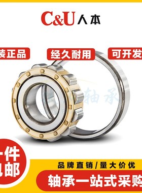人本C&U轴承N/NU/NJ/NF/NUP 2203 2204 2205 2206 2207 2208 EM