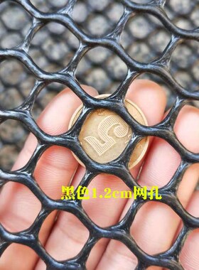 黑色塑料网养殖网格防盗网垫板养鸭养鹅养鸡围栏网阳台防护网防猫