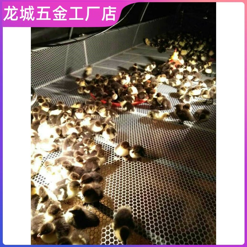 加厚防滑白色筛子护栏养殖小鸡塑料网格网家用垫板格子板小孔防猫,特色手工艺,其他特色工艺品,淘宝优惠券,粉丝福利购,淘宝优惠卷