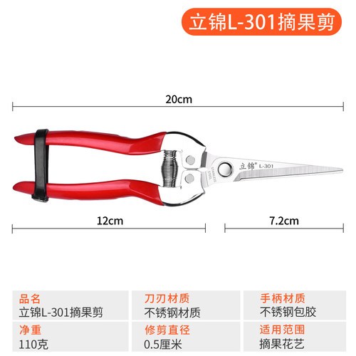 不锈钢摘果剪水果剪刀采果剪柑橘葡萄火龙果稀果剪果子采摘修枝剪