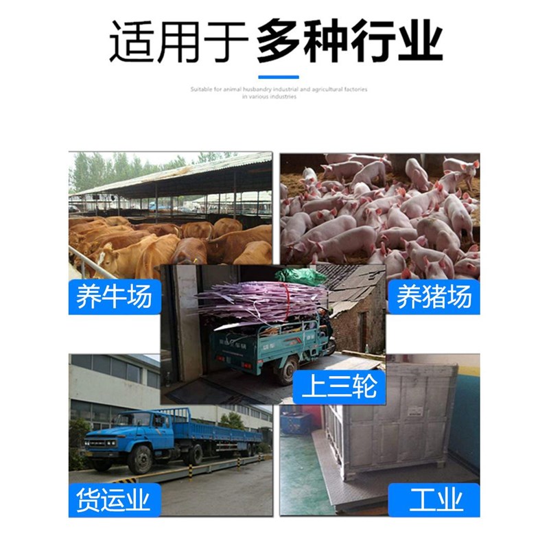 电子地磅秤1吨2吨3吨地磅称猪牛5t10t高精度电子秤工业小型地磅秤