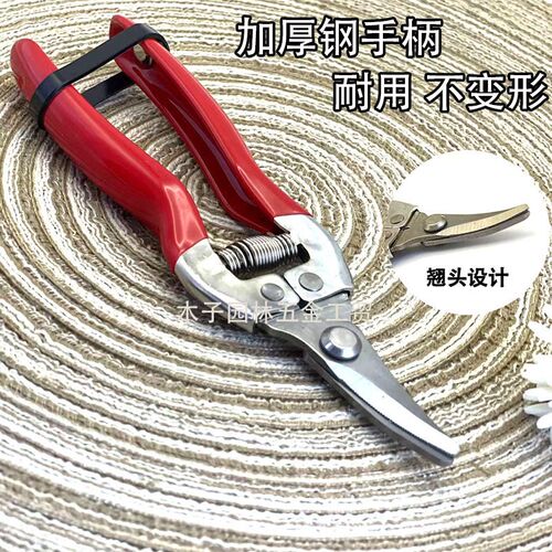 稀果剪蔬果摘果剪剪果专用剪子柑橘葡萄火龙果剪花椒剪园艺修枝剪