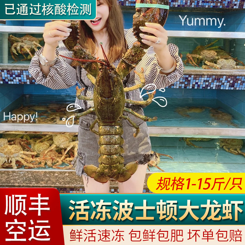 波士顿龙虾海鲜活冻中秋大礼包水冻虾