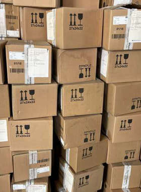 德国WIKA威卡密度计PGS21.100