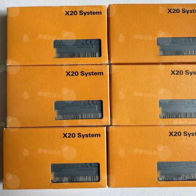X20DI6372/X20DI6373/X20DC11A6/
