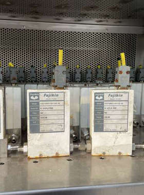 Fujikin  N2  5SLM和50SLM  O2  5