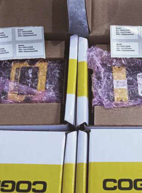 康耐视DM262QL-0120，全新年份好！！