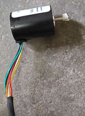 美国Anaheim Automation无刷直流电机BLWR