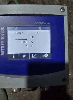 梅特勒M300 Process变送器 30280771，