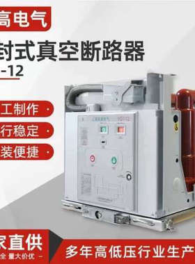 固封式真空断路器VG1-12户内高压真空断路器固定式侧装高压