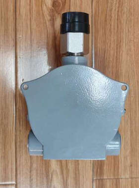 Detcon FP-524D microsafe  气体传感