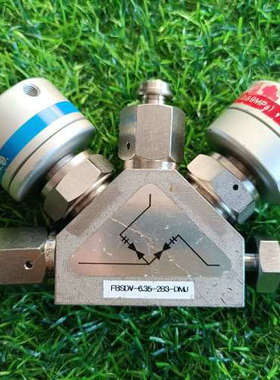 FBSDV-6.35-2B3-DMJ 33386 Fujik