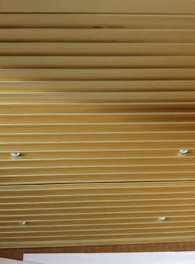 瑞典POLYAMP，DC/DC转换器PU1000。，