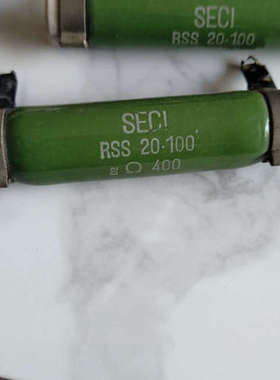 德国设备SECI电阻RSS 20-100   D2Ω40