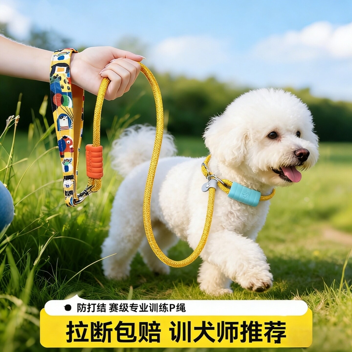 赛级P链P绳狗狗牵引绳项圈式防爆冲大中小型犬训练遛狗绳子栓狗链