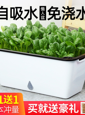 家庭阳台种菜盆种菜神器懒人花盆自动吸水长方形塑料蔬菜种植箱