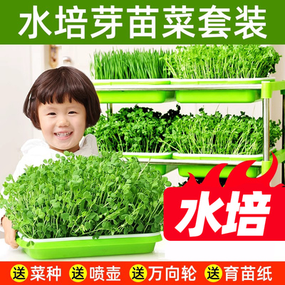 豆芽种植托盘无土栽培蔬菜