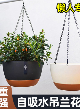 吊兰花盆吊篮悬挂式专用垂吊植物球兰矮牵牛霸王蕨卷叶牡丹大吊盆