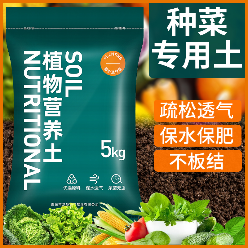 营养土阳台植物家用多肉盆栽