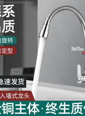 拖把池入墙单冷水龙头阳台万向可旋转明装暗装延伸防溅水墙上单孔