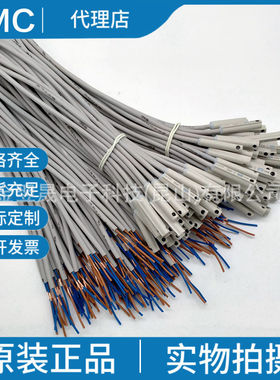 现货SMC正品D-M9BL D-M9BZ D-M9BM无触点磁性开关假一罚十实物拍