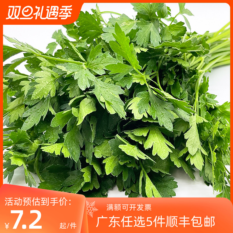 意反西欧芹意大利番西意蕃茜