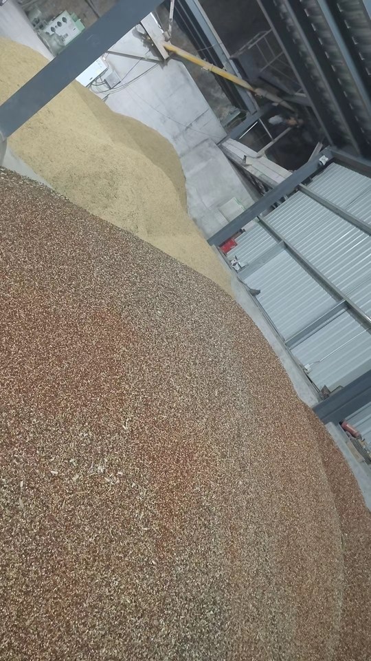 1月13日杭州拟处置阳陂湖种植高粱（品种：晋糯102）70000斤网络拍卖公告